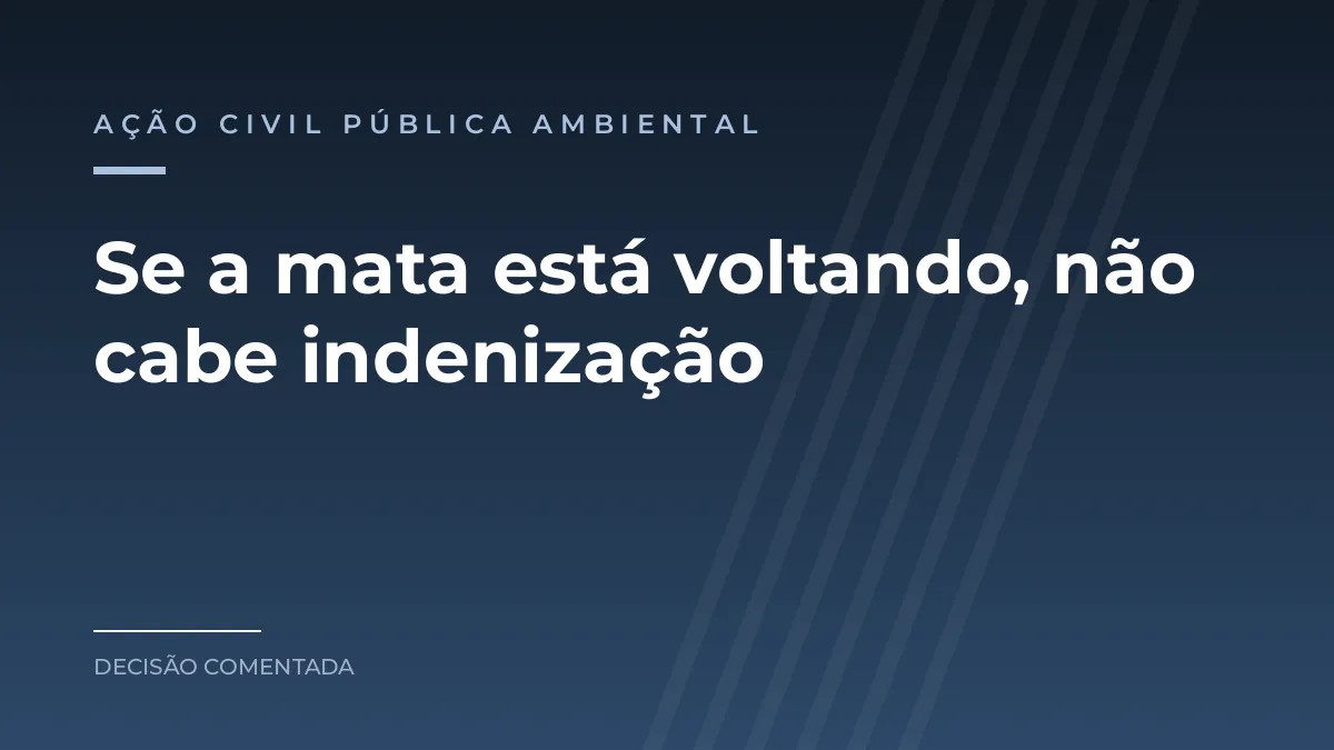 Arte azul com o texto Se a mata está voltando, não cabe indenização