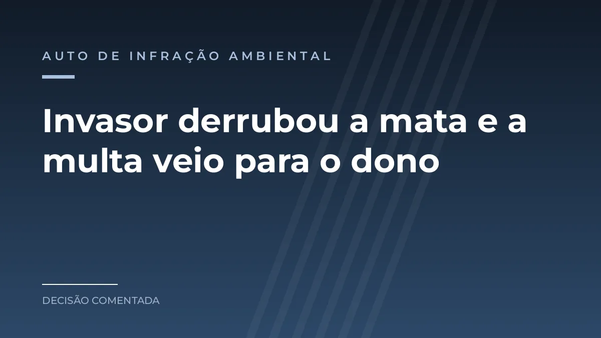 Arte com o texto Invasor derrubou a mata e a multa veio para o dono