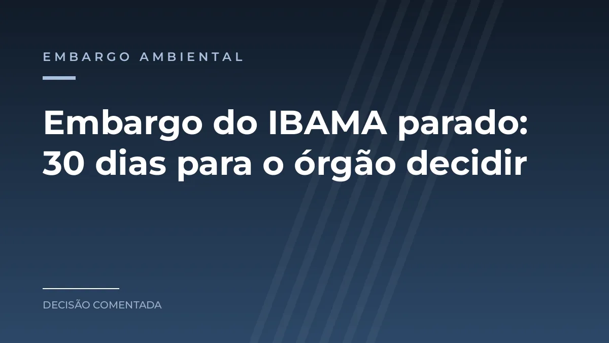 Arte com o texto Embargo do IBAMA parado, 30 dias para o órgão decidir