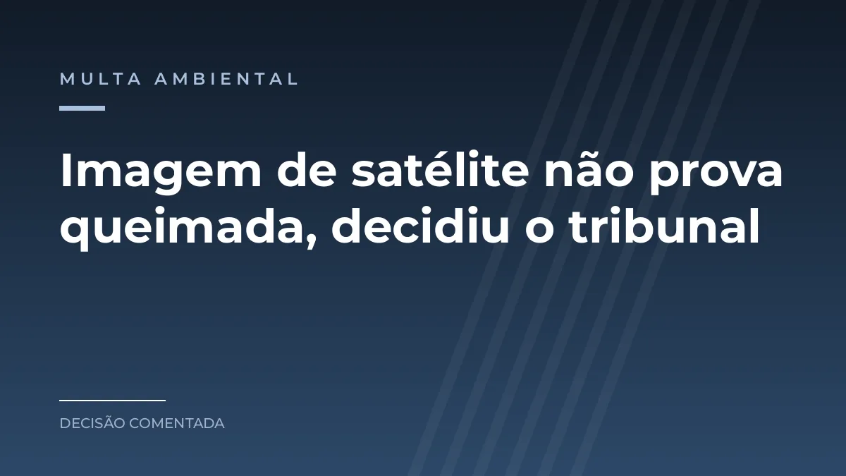 Arte azul com a categoria multa ambiental e a frase sobre a imagem de satélite que não prova queimada
